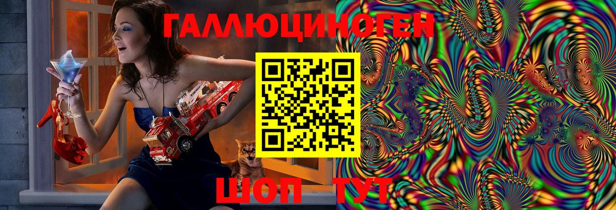Михайловка  Галлюциногенные грибы прущие грибы  Вход с VPN 
