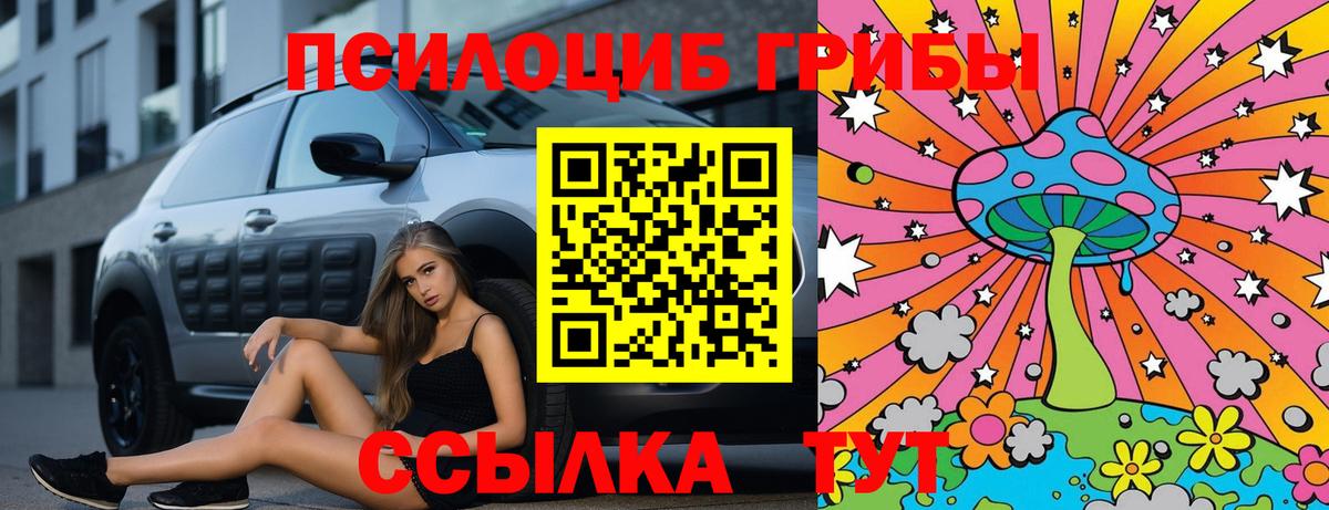 Псилоцибиновые грибы Psilocybe Михайловка